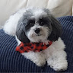 Meet your Posher, Debi